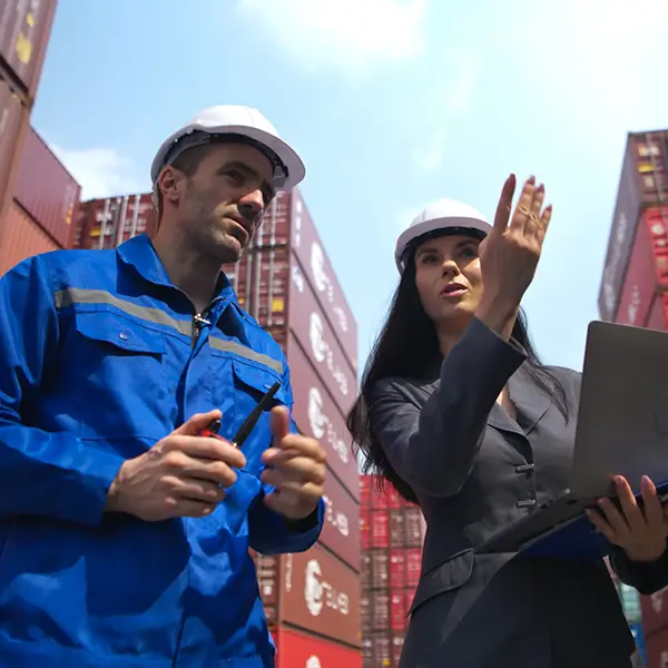 compañamiento para el cumplimiento y servicios de requerimientos legales marítimos y portuarios.