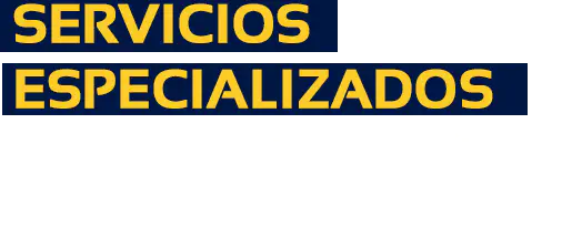 Servicios especializados para el sector marítimo, portuario e industrial.