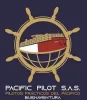 logo pilotos del pacífico_compress